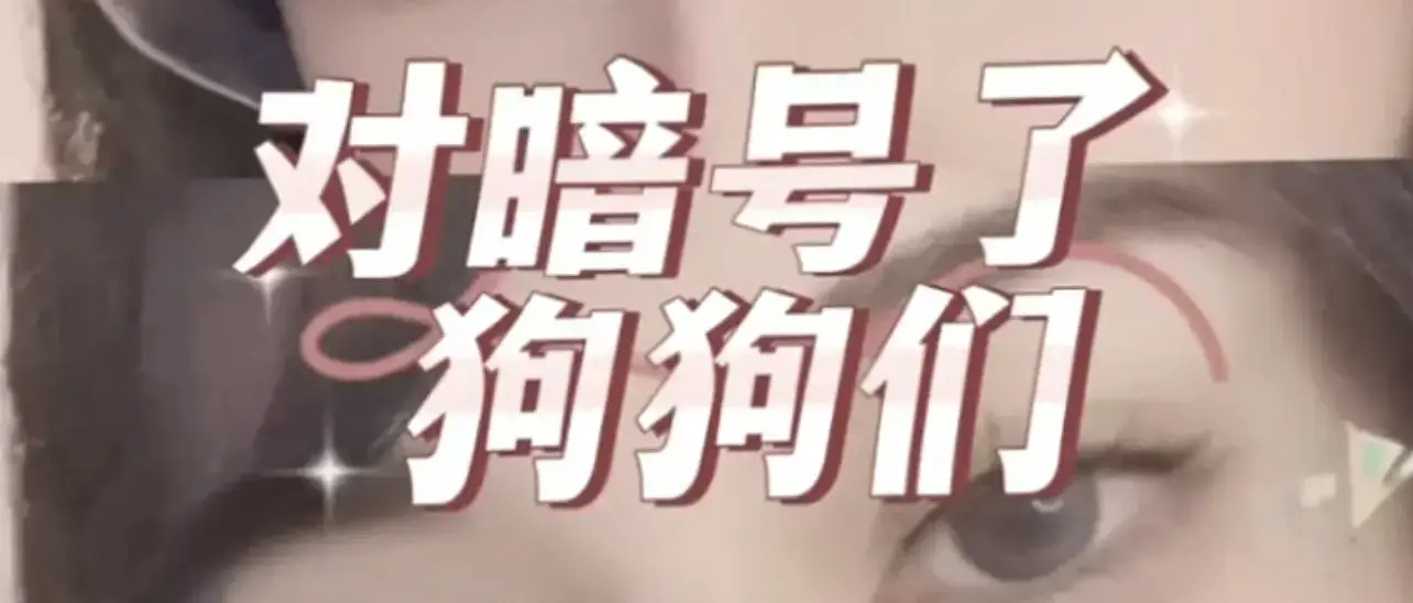 西檬之家-斯慕圈新人入圈必备指南
