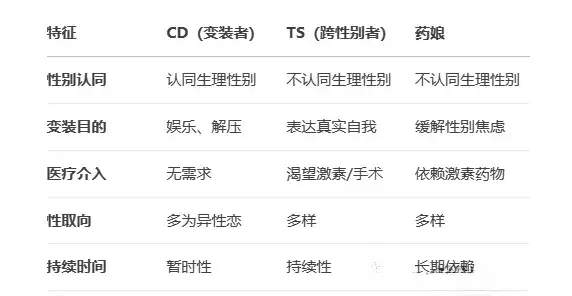 【西檬之家】DT是什么？在字母圈情境化语言中的运用指南