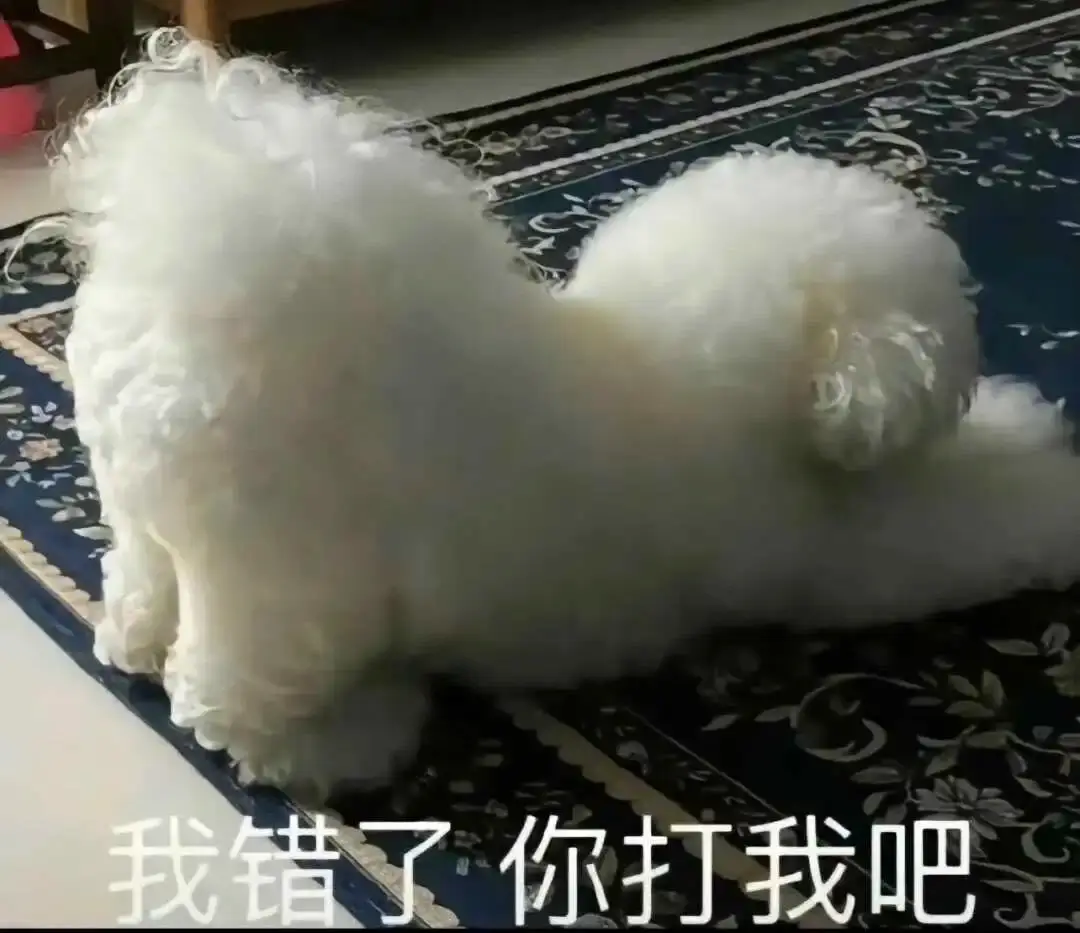 西檬之家-DT是什么？Dirty Talk字母圈新人入圈指南