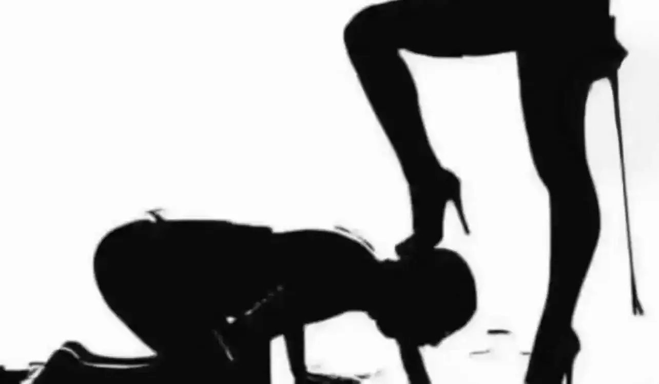 西檬之家-DOM和SUB：BDSM关系中的权力与信任艺术