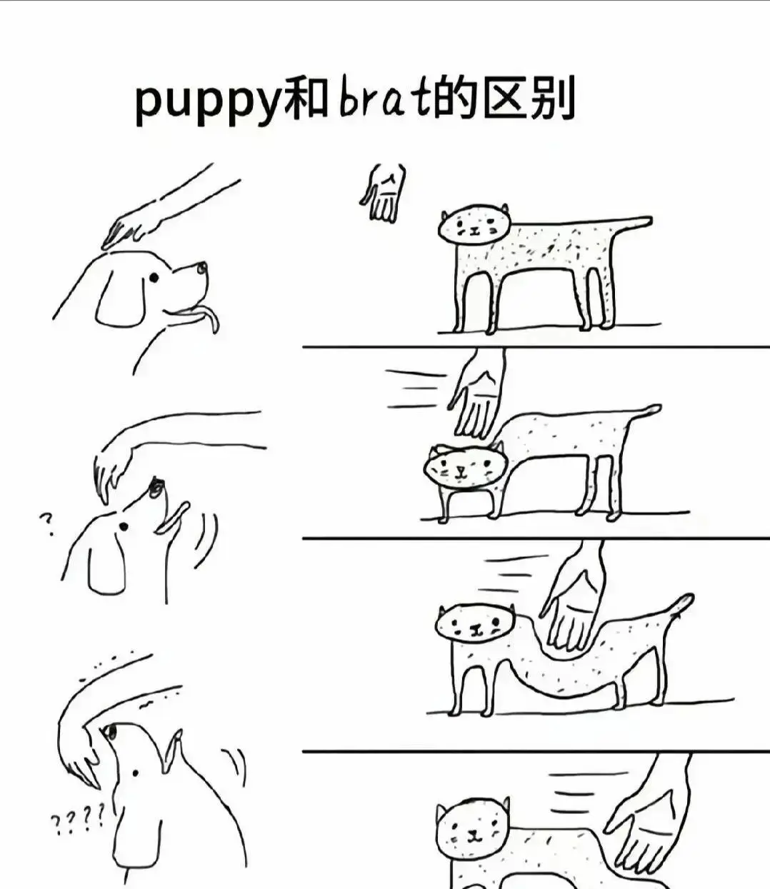 西檬之家-BDSM入门指南：理解字母圈术语与安全实践