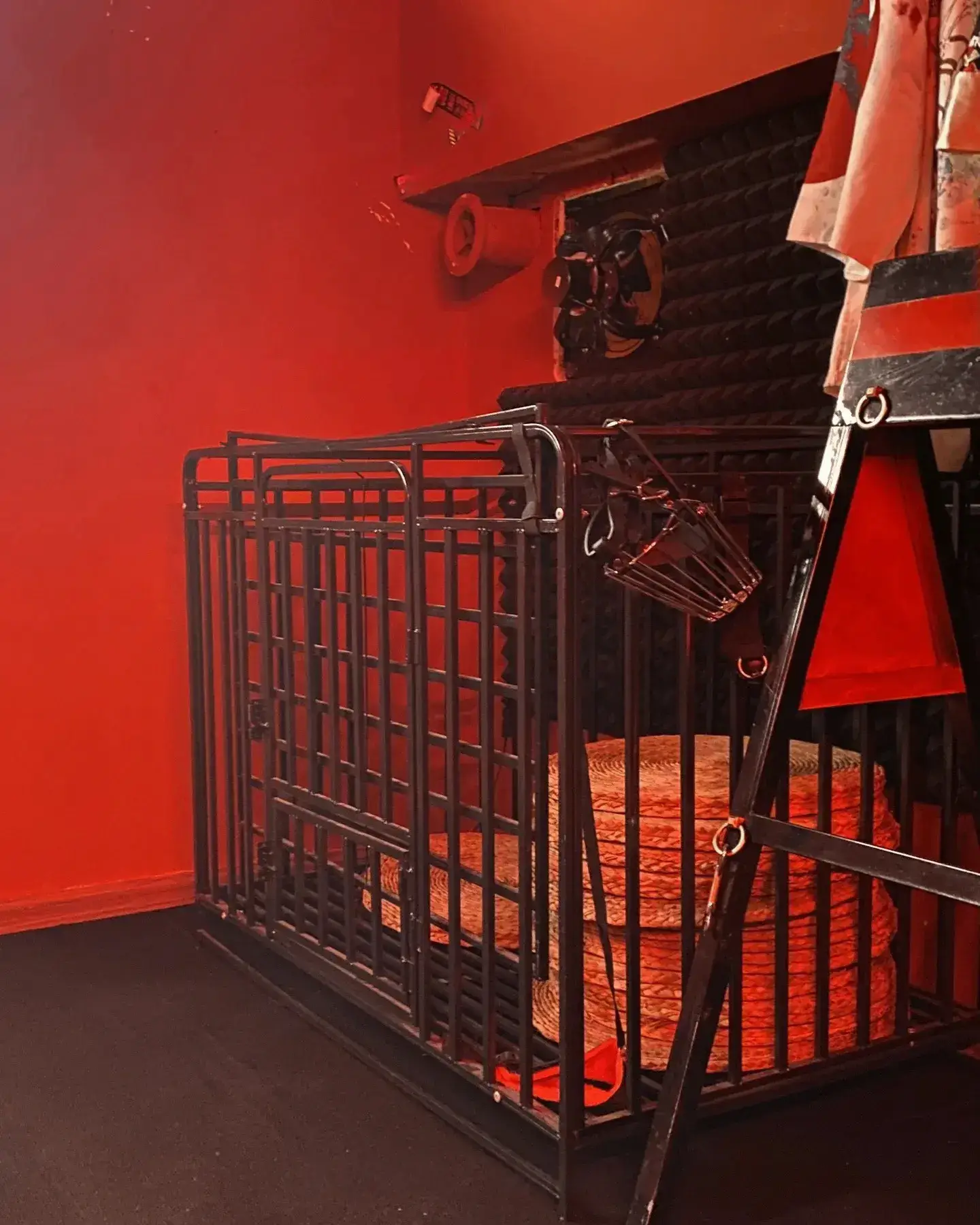 字母圈 - 2025-11-14 000225