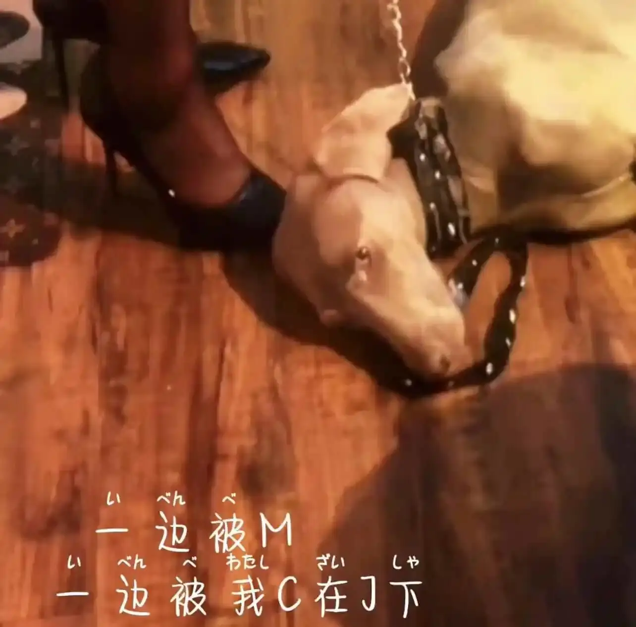 【西檬之家-标签圈新人大全】