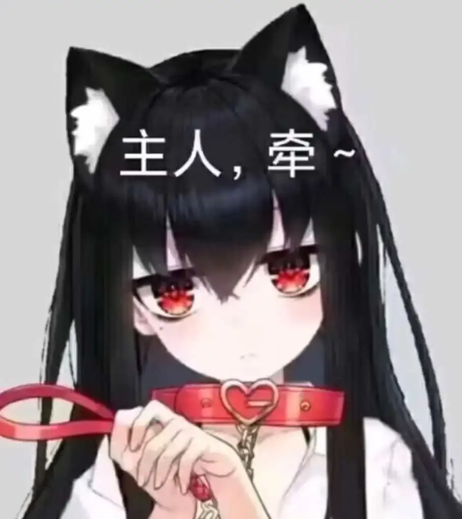 k9犬系 - 2023_11_10_21_21_IMG_8948