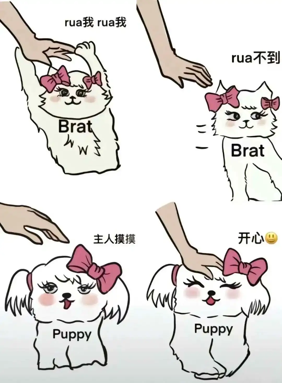 西檬之家-圣水是什么？字母圈新人指南
