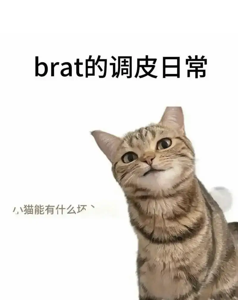 【西檬之家-字母圈DS关系：从基础术语到实践指南】