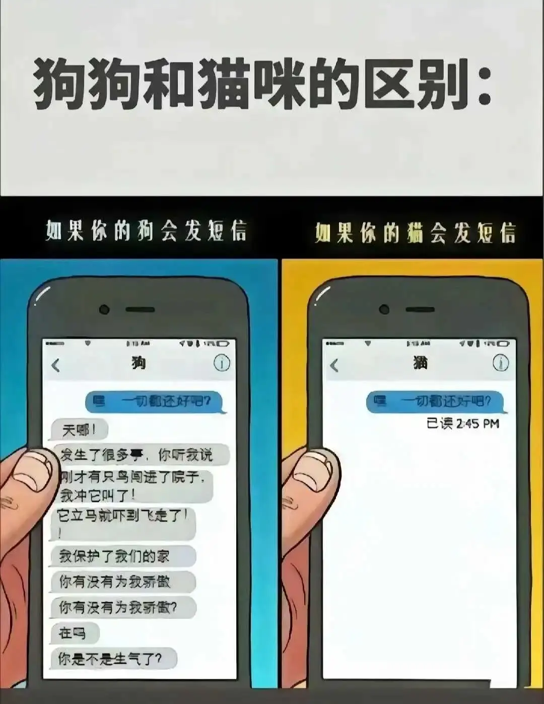 西檬之家-字母圈新人入圈指南：从基础知识到安全实践